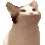 bopkat