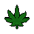 weed